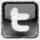 Twitter icon 2